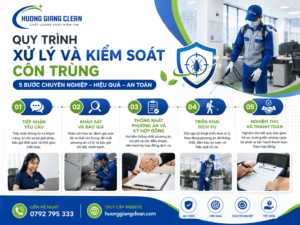 Quy trình xử lý và kiểm soát côn trùng