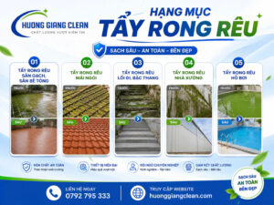 dịch vụ tẩy rong rêu, các hạng mục tẩy rong rêu
