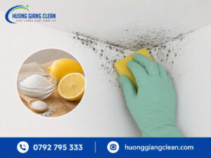 Cách làm sạch trần nhà bị mốc bằng chanh và muối, hương giang clean