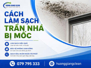 vệ sinh trần nhà bị mốc, cách xử lý trần nhà bị mốc, hương giang clean