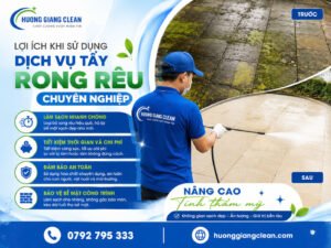 Lợi ích khi sử dụng dịch vụ tẩy rong rêu