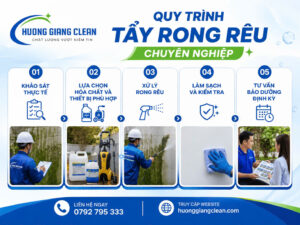 Quy trình tẩy rong rêu, dịch vụ tẩy rong rêu, hương giang clean
