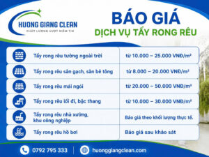 Báo giá dịch vụ tẩy rong rêu mới nhất