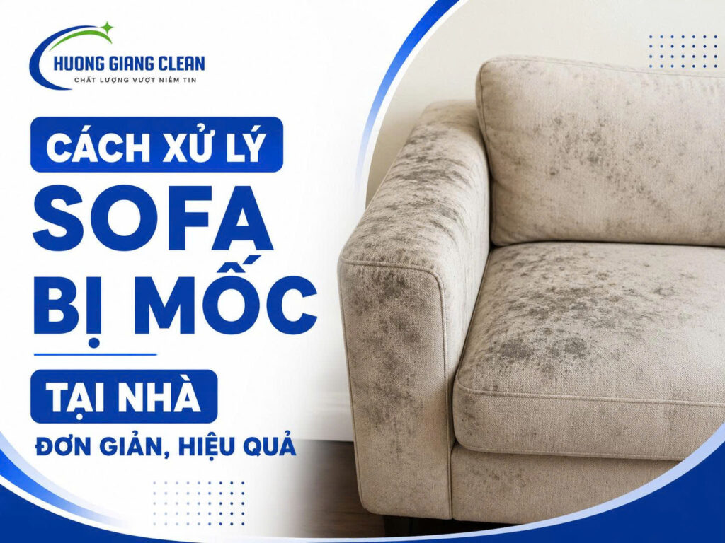 Cách xử lý sofa bị mốc tại nhà đơn giản