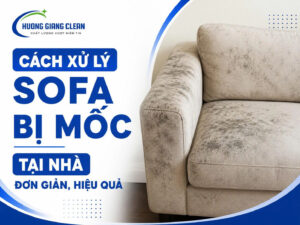Cách xử lý sofa bị mốc tại nhà đơn giản
