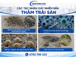 giặt thảm bình dương, hương giang clean