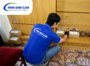 Dịch vụ diệt mối tại nhà 