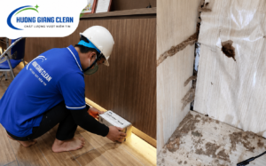 diệt mối, dịch vụ diệt mối