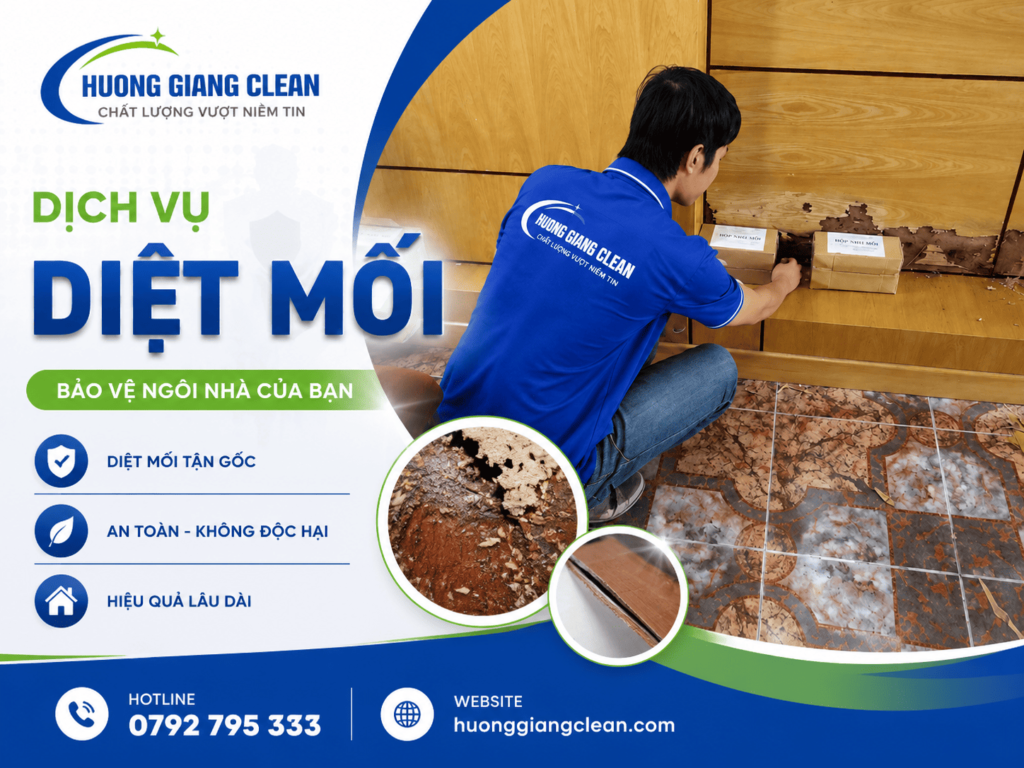 Dịch vụ diệt mối, hương giang clean